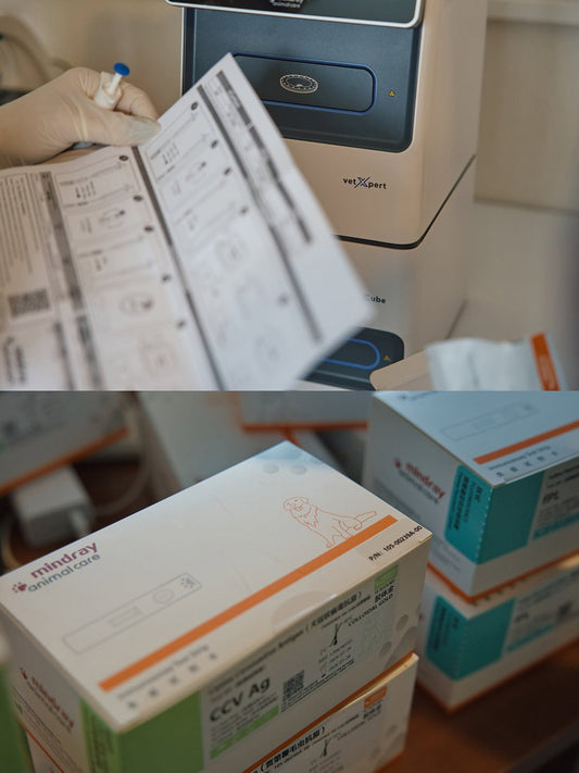 Analizador veterinario 2 en 1 de química e inmunoensayo Mindray VetXpert Cube para clínicas veterinarias y hospitales de animales