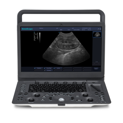 Escáner de Ultrasonido Veterinario Portátil SonoScape E1 E1V con una Sonda para Diagnóstico General y de Gestación Animal