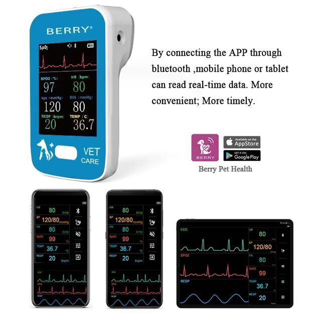 Berry AM6200  Monitor Veterinario Portátil para Pacientes y Mascotas Berry AM6200 de 6 Parámetros Spo2 HR ECG PR TEMP NIBP de Buena Calidad
